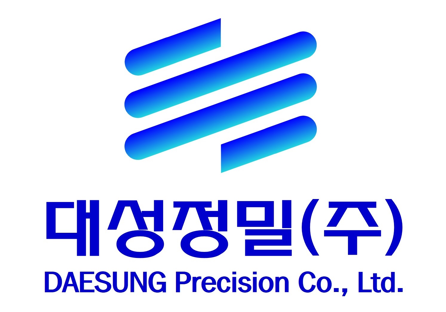 대성정밀(주) 로고
